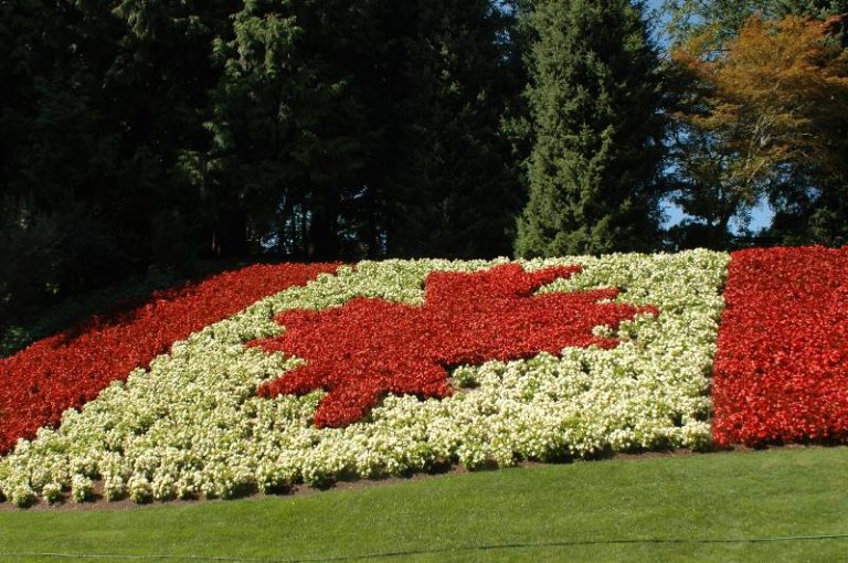 Gardeners versus designers; a paradigm to understand Canada's political divide.
