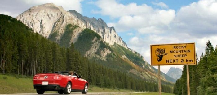 Self-driving cars threaten the connection and mind exercises brought by the freedom of driving.